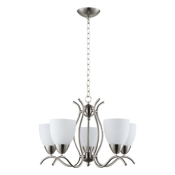 Royal Homes Hanging Light