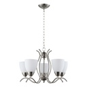 Royal Homes Hanging Light