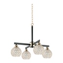 Royal Homes Hanging Light