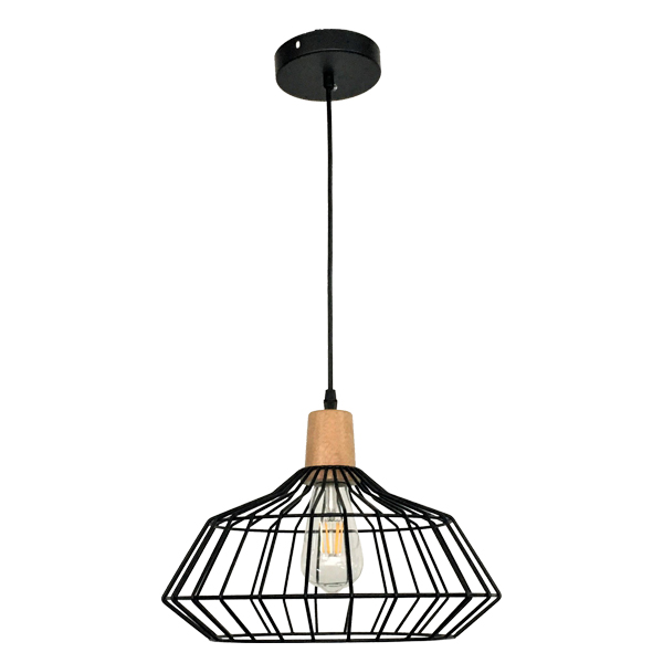 Royal Homes Pendant Light