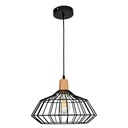 Royal Homes Pendant Light