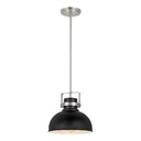 Royal Homes Pendant Light