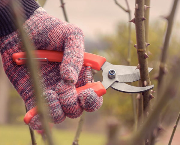 Tramontina Hedge Shears and Pruning Shears (2pc Set)