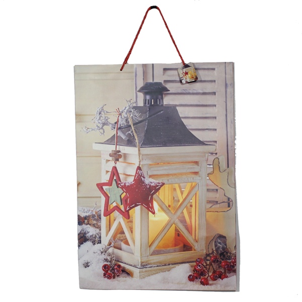 Christmas Paper Gift Bag