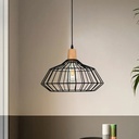 Royal Homes Pendant Light