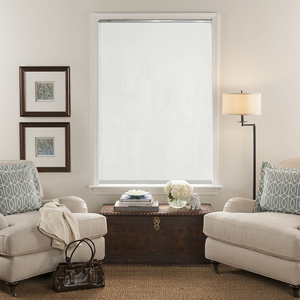 Royal Homes blackout roller blinds 38X50