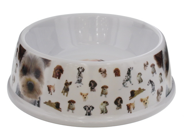 ****Puppy &amp; Co Melamine Bowl