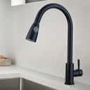 Royal Homes Pull Out Kitchen Faucet Black