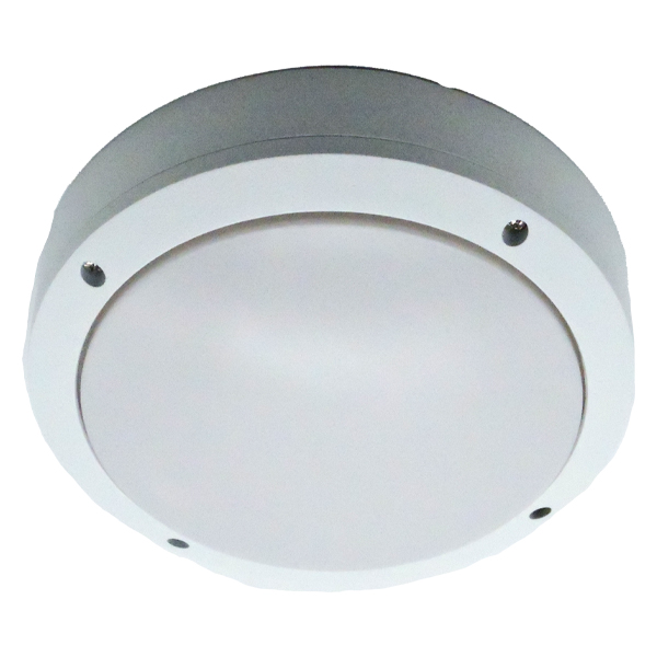 ****Royal Homes Indoor Ceiling Light, White Finish