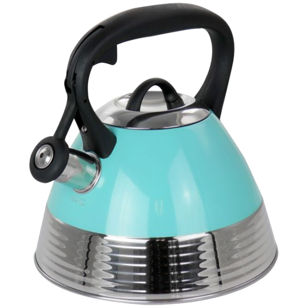 ****Mr. Coffee Tea Kettle Niagara 2.5 Qt SS/ Teal