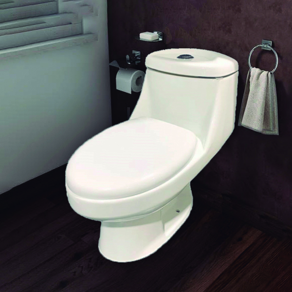 ^Royal Homes Toilet S-trap White