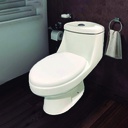 ^Royal Homes Toilet S-trap White