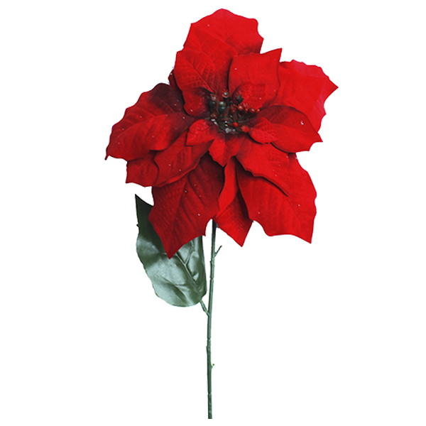 ****Miro Poinsettia Stuffed Red 65cm