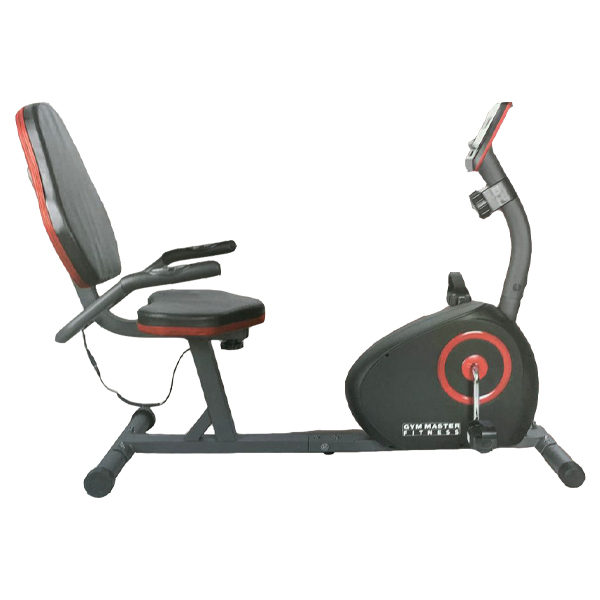 Gym Master Recumbent Bike