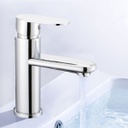 Royal Homes Bathroom Faucet