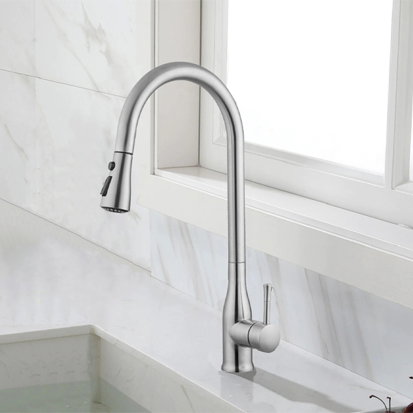 Royal Homes Kitchen Faucet