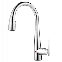 [GT529ELC] Pfister Kitchen Faucet