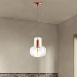 [453022 CO RHPL19188] Royal Homes Pendant Light